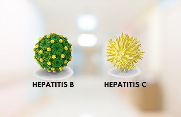 Hepatitis B & C
